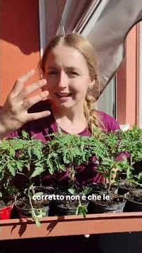 ERRORE PRIMA DEL TRAPIANTO NELL'ORTO! #shorts