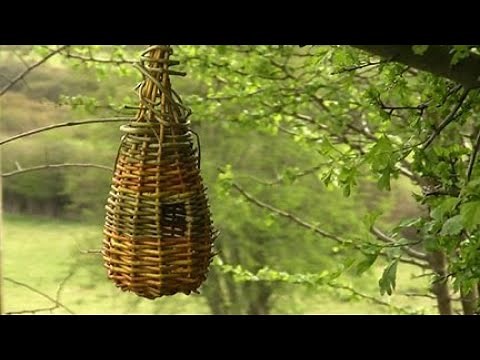 Bird's Nest - Weave Your Own - Introduced by Brendan Farren