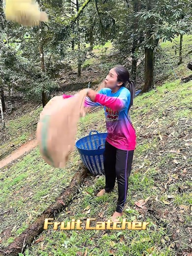 Fruit Catcher