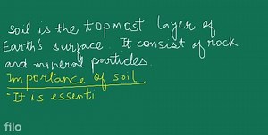 What is soil? Explain in detail the importance of soil... | Filo