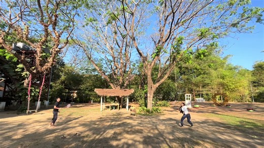 Hello, spring 🌸 Spring vibes only 💛#spring