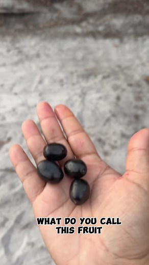 51K views · 609 reactions | What do you call this fruit ? It’s a local favourite | Visit Guyana | Facebook