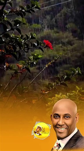 ፀጋዬ እሸቱ #ፀጋዬ_እሸቱ #tsegayeeshetu #ሙዚቃ #musiclyrics #ዘፈን_ልጋብዛችሁ