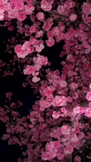 iOS 26 how to get 3D spatial wallpaper background for your iPhone. #ios26 #iphonewallpaper #capcutforus #capcutpioneer #capcut How to set upR iPhone wallpaper tutorial How to apply iPhone live wallpaper live wallpaper wallpaper iPhone wallpaper 8K wallpaper