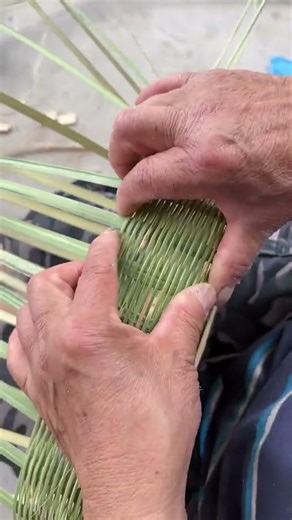 揭秘古埃及造船技术