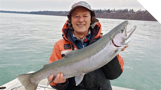 Catching steelhead using roe bags - Chrome on salmon roe