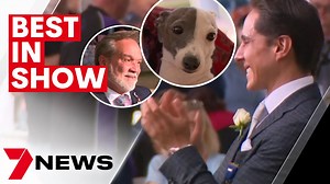 Best in show at the 2023 Sydney Royal Easter Show | 7NEWS - The Global Herald