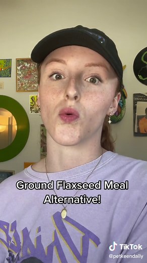 5 Essential Fiber Sources for Your Dog's Diet