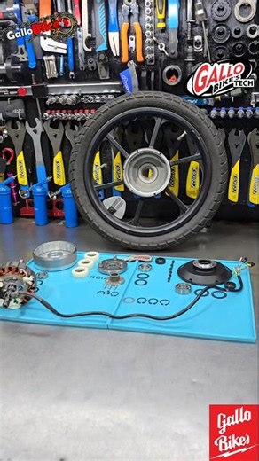 Reparación de e-bike JETSON HAZE mantenimiento motor eléctrico rin engrasado mantenimiento rueda gbs