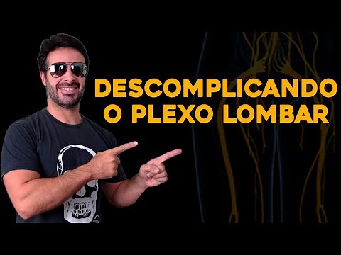 UNCOMPLICATING THE LUMBAR PLEXUS