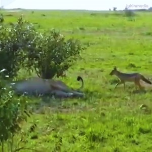 4.9M views · 55 reactions | Who's the Boss | Patrick Cloud | Facebook