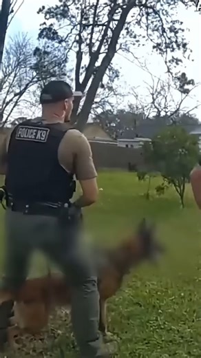 Experience the raw power of police K9 units in real-life arrests and heart-stopping rescues❌ Full video in comment below 👇 | Cop TV 24