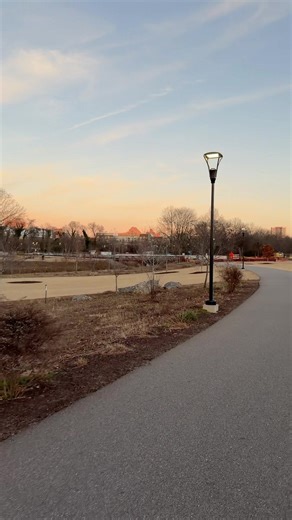 Lil swamp rabbit run