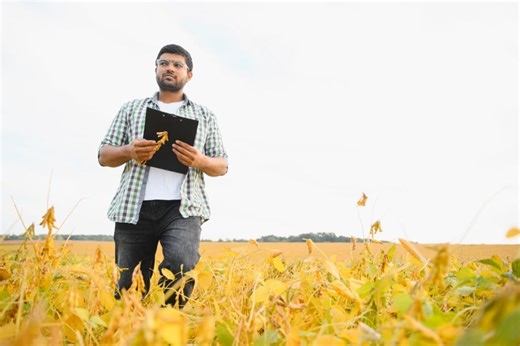 ADM and Bayer expand sustainable soybean program in India
