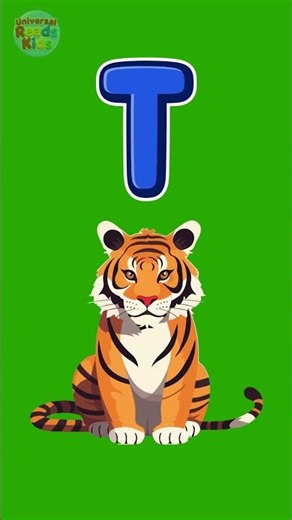 T for Tiger 🐯 | Learn Letter T for Kids