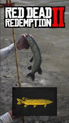 LEGENDARY CHAIN PICKEREL 👑🐟 TIPS to Catch! #RDR2 #Shorts