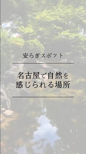 【中村区】中村公園 紹介動画｜ 名古屋 日常ショート #shorts #散歩 #旅行