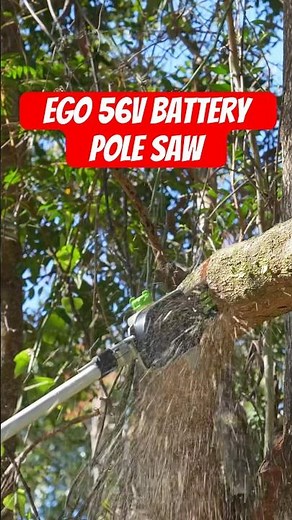 Ego 56v battery powered pole saw. Full review is on the channel