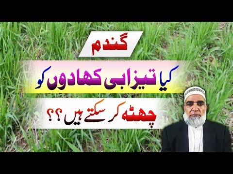 Can Acidic fertilizer be used through broadcast method in wheat crop || Crop Reformer