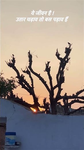 मेरा गांव #viral #shortvideos #vairelsort #viralvideos #shortsviral #motivation #gaon #gaonkilife