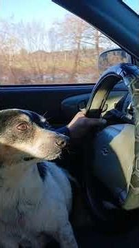 TrueLove does not consist in gazing into each other's eyes but looking outward in the same direction