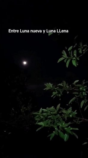 ¿Por qué la Luna se ve así? Cuarto Creciente explicado 🌙 #astronomia