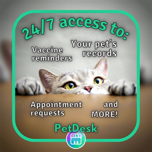 👉 Download your pet's care and health with our FREE and easy-to-use app: download.petdesk.com You can download our app to your smartphone and have it link directly to our systems. All of its features are completely free to you for being a valued client. ☺️ Once you download the app, create an account with the email address we have on file for you. The app will sync your information overnight, so don’t be worried if you don’t see your pet’s history right away, it’ll be there in the morning! | Ha