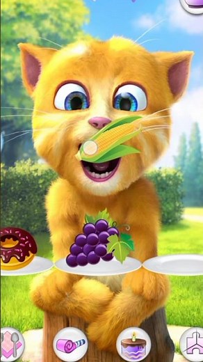 talking ginger 2 🌶️🍒🍎 // talking ginger cat //talking ginger funny videos /