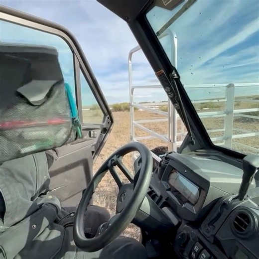 Fast Catch on Instagram: "First Catch with the Fast Catch Calf Catcher! 🐂💥 Watch how quick and safe it is to catch a newborn calf—right from the front of the UTV. One person, no stress, and mama cow stays back where she belongs. This is what calving season should look like. ✅ Safe for the operator ✅ Calm for the calf ✅ Fast, smooth, and built for real ranch work Hit subscribe for more real-world calving action and see how Fast Catch changes the game. #FastCatch #CalfCatcher #CalvingSeason #Ran