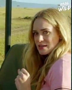 191K views · 1.5K reactions | Follow along as Brittany and Anga travel through Kenya's Masai Mara and stumble upon the Oloololo lion pride. This pride has over 10 lions making up the group and are enjoying a nice snooze far up a tree. | Real Wild | Facebook