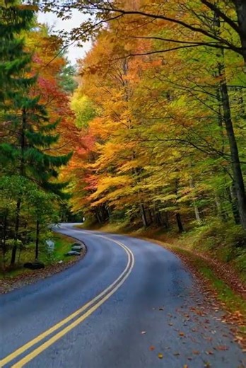 Watch Autumn Unfold in Its Most Beautiful Form 🍁 #AutumnColors #NatureLovers #RelaxingView
