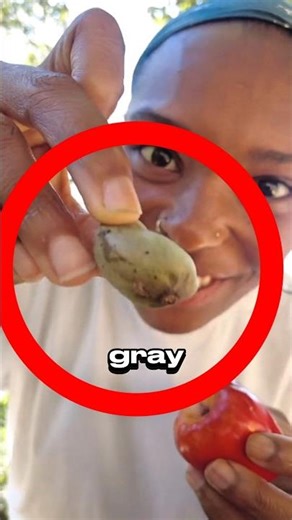 Forbidden Nut ☠️