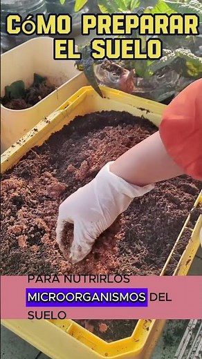 "How to Prepare Soil for a New Crop Without Using Chemicals"