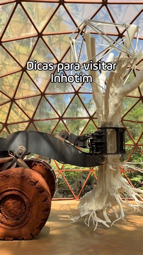 Renata Lucena | Inhotim é incrível 🌿 Prepara o tênis, o boné, a mochila com garrafa de água (você pode encher nos bebedouros disponíveis) e lanchinhos... | Instagram