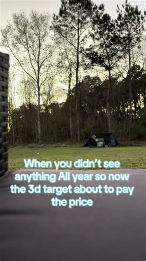 #compoundbow #3d #targetpractice #fyp #relatable