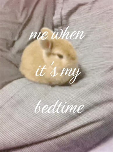 Bunny-Themed Bedtime Routine for Cozy Nights