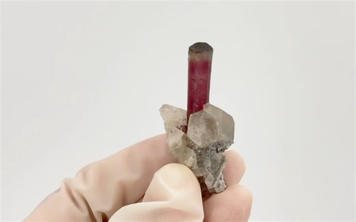 宝石矿物：红碧玺和水晶共生标本。