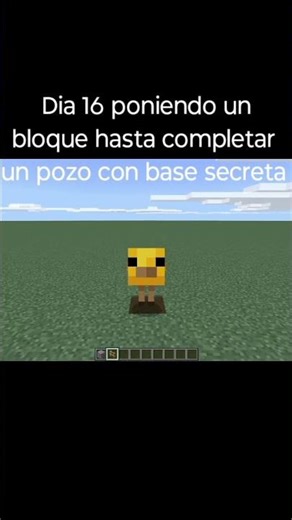 Día 16 #dias #minecraft