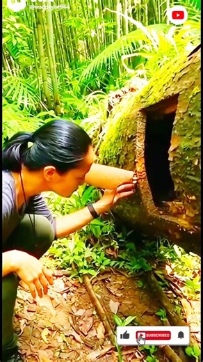 Mystery in the Woods: Unbelievable Discovery Inside an Ancient Tree! (Focus on #adventure