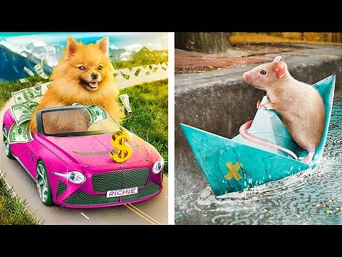 Reiche vs. Arme Tierhalter