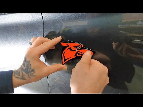 Badge Replacement On The Mustang GT - 5.0 emblem gets replaced with a spiffy coyote badge.