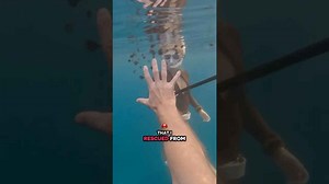 This is the most ironic GoPro loss ever