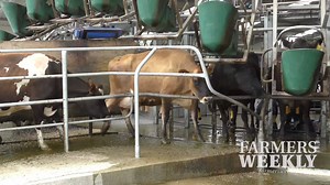 20K views · 132 reactions | Telling farming stories: here's the latest edition of The Farmer's Voice. | Farmers Weekly NZ | Facebook