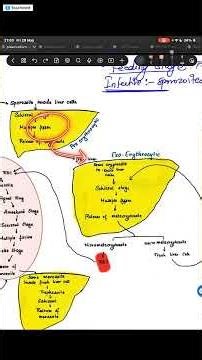 plasmodium important concept of relapse and Recrudence #cee #ceeaspirant
