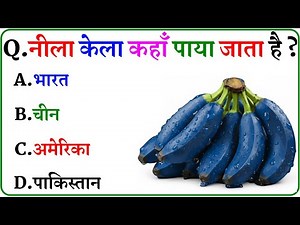 GK Question || GK In Hindi || GK Question and Answer || GK Quiz || Gk Brain King || 24