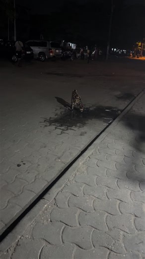 Vidéos de 🔥CELLO_EVENTS🔥 (@cello_events) avec son original - 🔥CELLO_EVENTS🔥