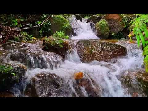 Flowing Stream Ambience | 1 Hour Natural Water Sounds For Study, Focus & Calm Clarity 4K
