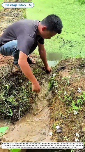 水路の整備：農民が排水溝を管理する理由