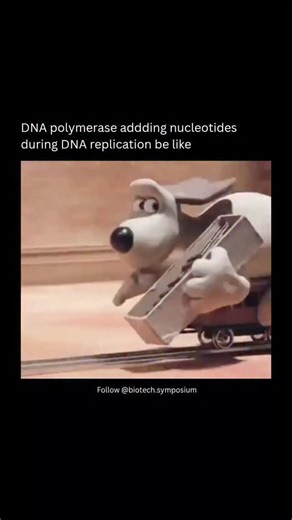 Saksham Bhatia on Instagram: "Busy replicating🐕🚂🧬🤣...During DNA replication, DNA polymerase is the enzyme responsible for adding nucleotides to a growing DNA strand. Here’s how it works step-by-step 👇 🧬 Step-by-Step Process: 1. Unwinding the DNA The double helix is unzipped by helicase, breaking hydrogen bonds between base pairs and forming two single strands. 2. Primer Attachment Primase synthesizes a short RNA primer that provides a free 3′-OH group — DNA polymerase needs this to start. 