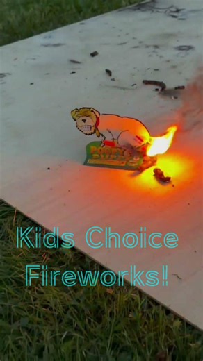 This is what happens when you let a child choose their own fireworks! #pyro #fireworks rks